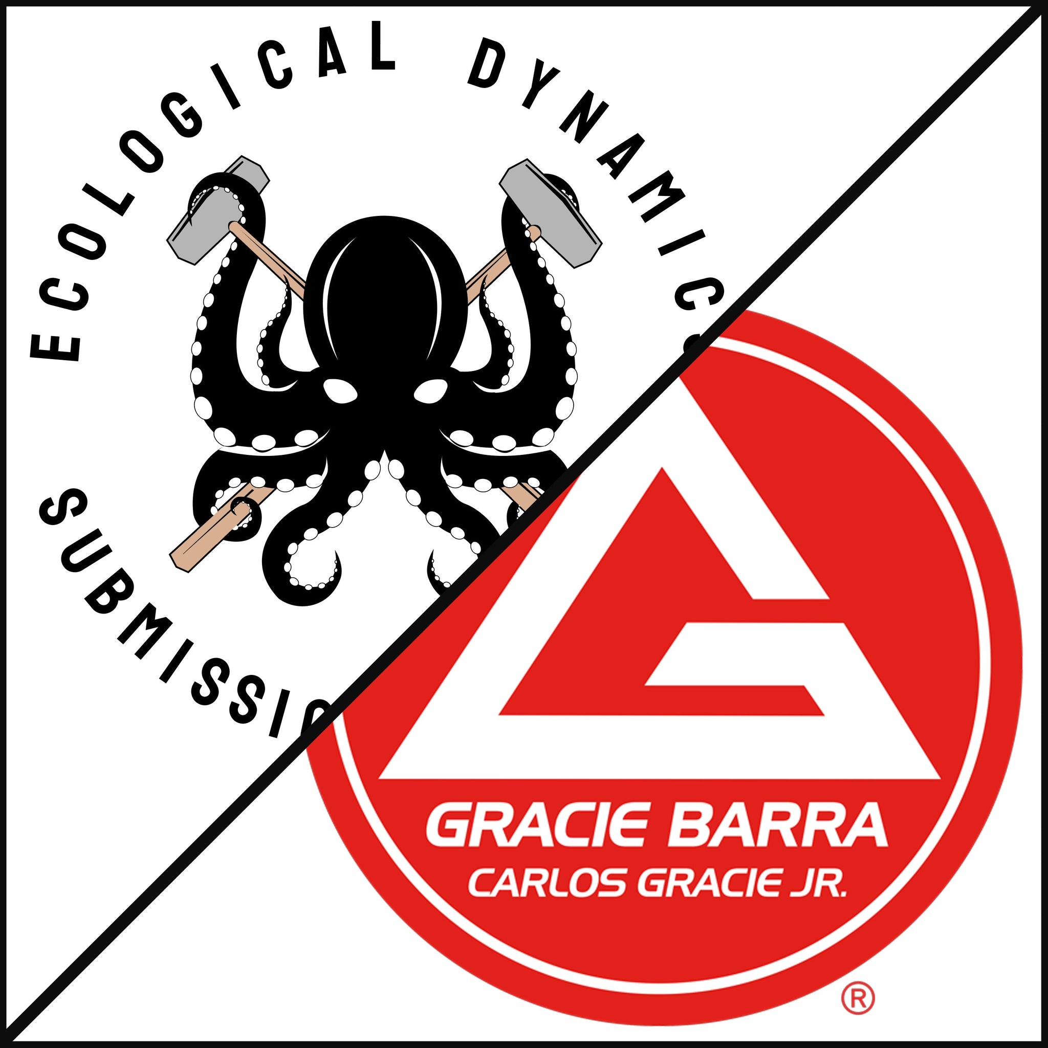 Ecological Training vs. Traditional Drilling – The Future of Jiu-Jitsu?